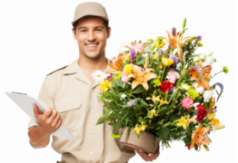 hashtil nursery | tidhar | gardening | garden design | nurseries | negev | gardener